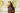 Cavalier Double Bridle