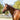 Cavalier Anatomical Leather Bridle (European Leather)