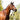Cavalier Anatomical Leather Bridle - Black - Cob