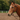 Extended Head Barcoo 3/4" Bridle