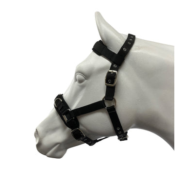 Eureka - Nylon Lunge Cavesson