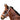 Goodwoods Foal Three Colour Headstall