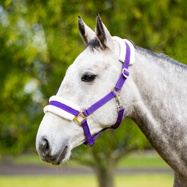 Eureka - Fleece Backed Headstall