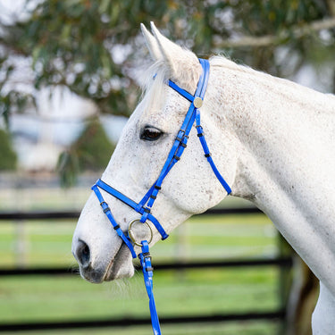 Goodwoods PVC Bridle with Reins