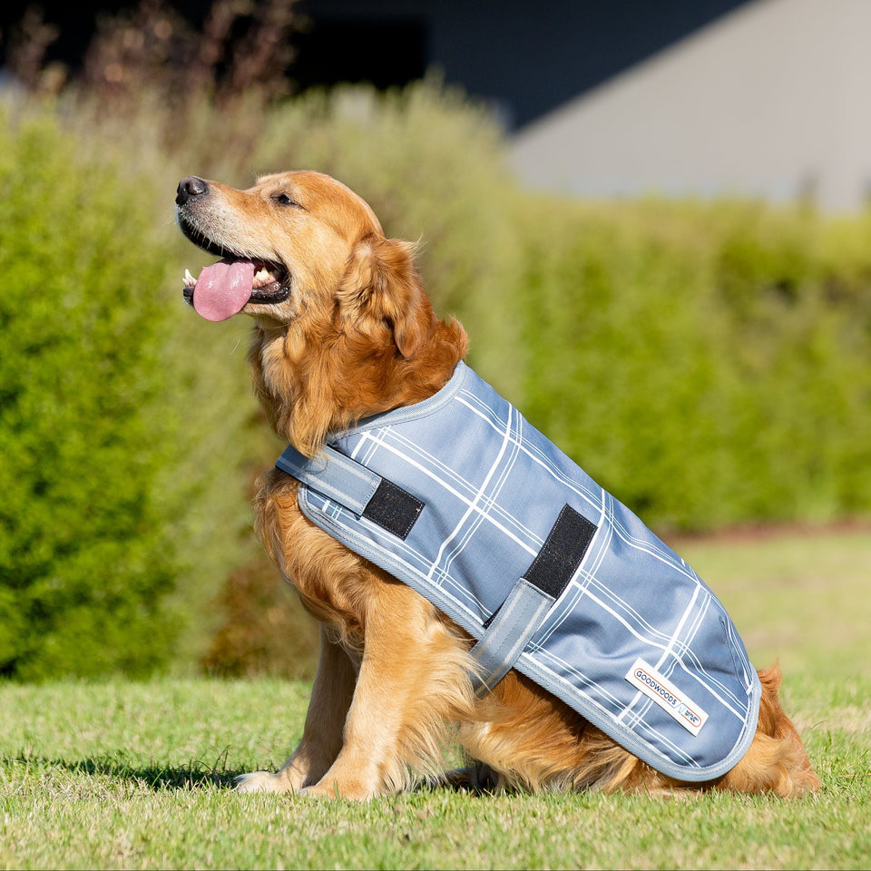 Waterproof Dog Rug Graphite Check Dog Rug – Goodwoods Saddlery