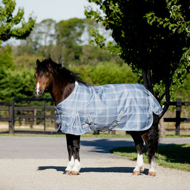 Graphite Check Pony Light Rug