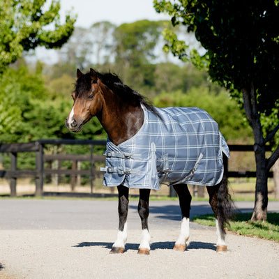 Graphite Check Pony Light Rug