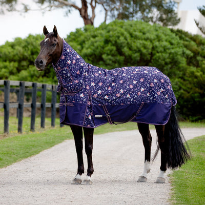 Midnight Meadow Light Combo