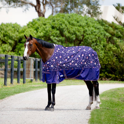 Midnight Meadow Light Rug