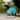 Pacific Teal 600D Rainsheet Pony Rug
