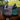 Northern River - Adult Stock Saddle with Changeable Gullet