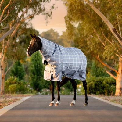 Graphite Check Heavy Detach-a-Neck