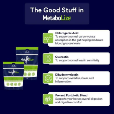 MetaboLize - 90g Bag