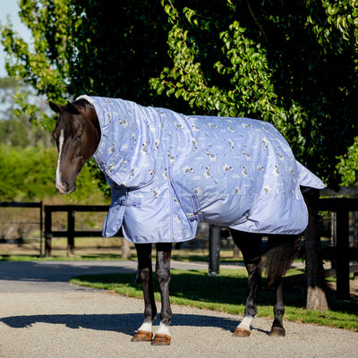 Violet Stripes Light Combo