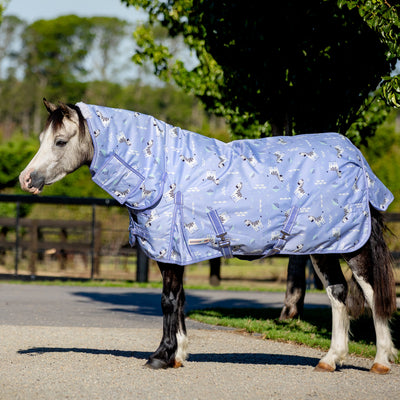 Violet Stripes Pony Light Combo