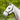 Eureka - Fleece Backed Headstall