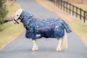 Eureka Miniature Viking Combo