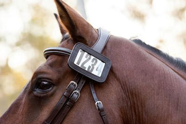 Cavalier Bridle Number Holder  4 Digit small