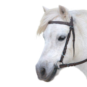 Eureka - Plain Snaffle Bridle