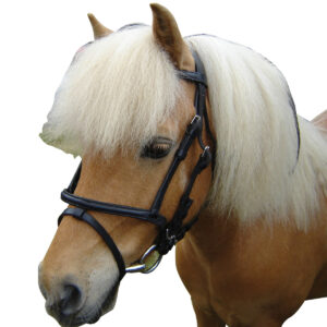 Eureka - Miniature Bridle