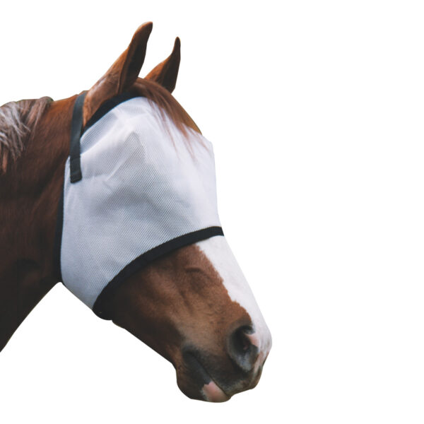 Brown horse wearing a Showcraft Deluxe Flymask, protecting eyes with UV ray block and wide velcro tab for a secure fit.