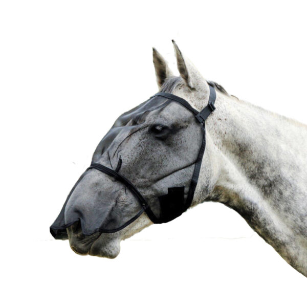 White horse showcasing a durable Onyx black fly mask with ultra-fine mesh and a built-in nose guard for extra protection.