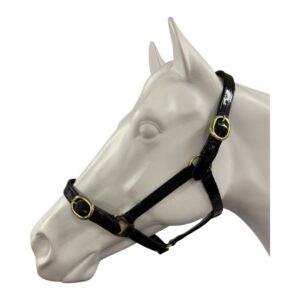 Showcraft - PVC Brass Halter 1"