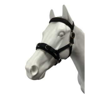 Eureka - Nylon Lunge Cavesson