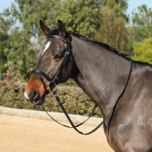 Showcraft - Silver Clinch Hanoverian Bridle