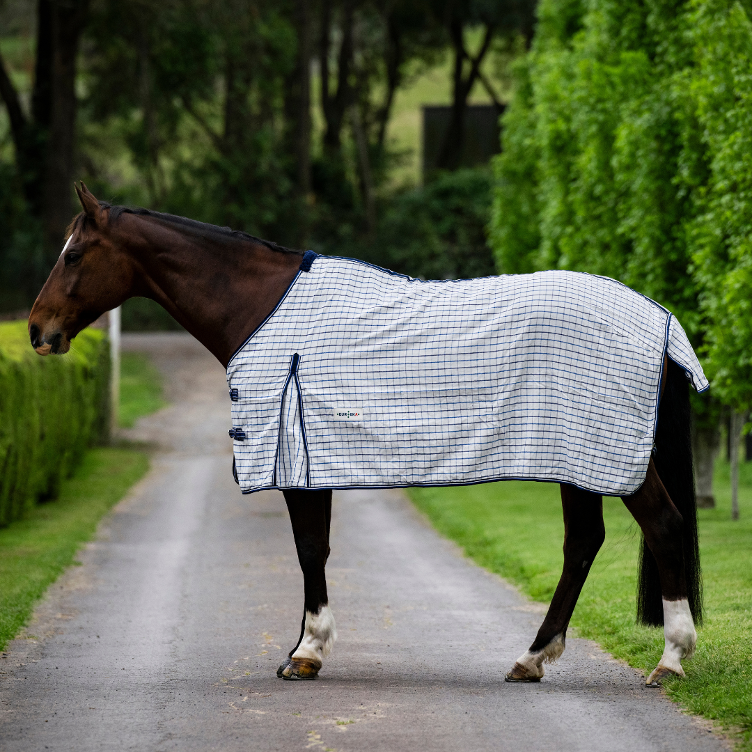 Eureka - Summer Ripstop Rug