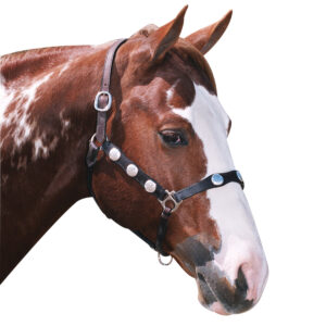 Navaho - Scalloped Western Headstall