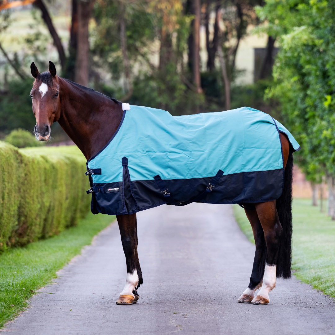 Grace 1200 Denier Rug No Fill  - Turquoise and Navy