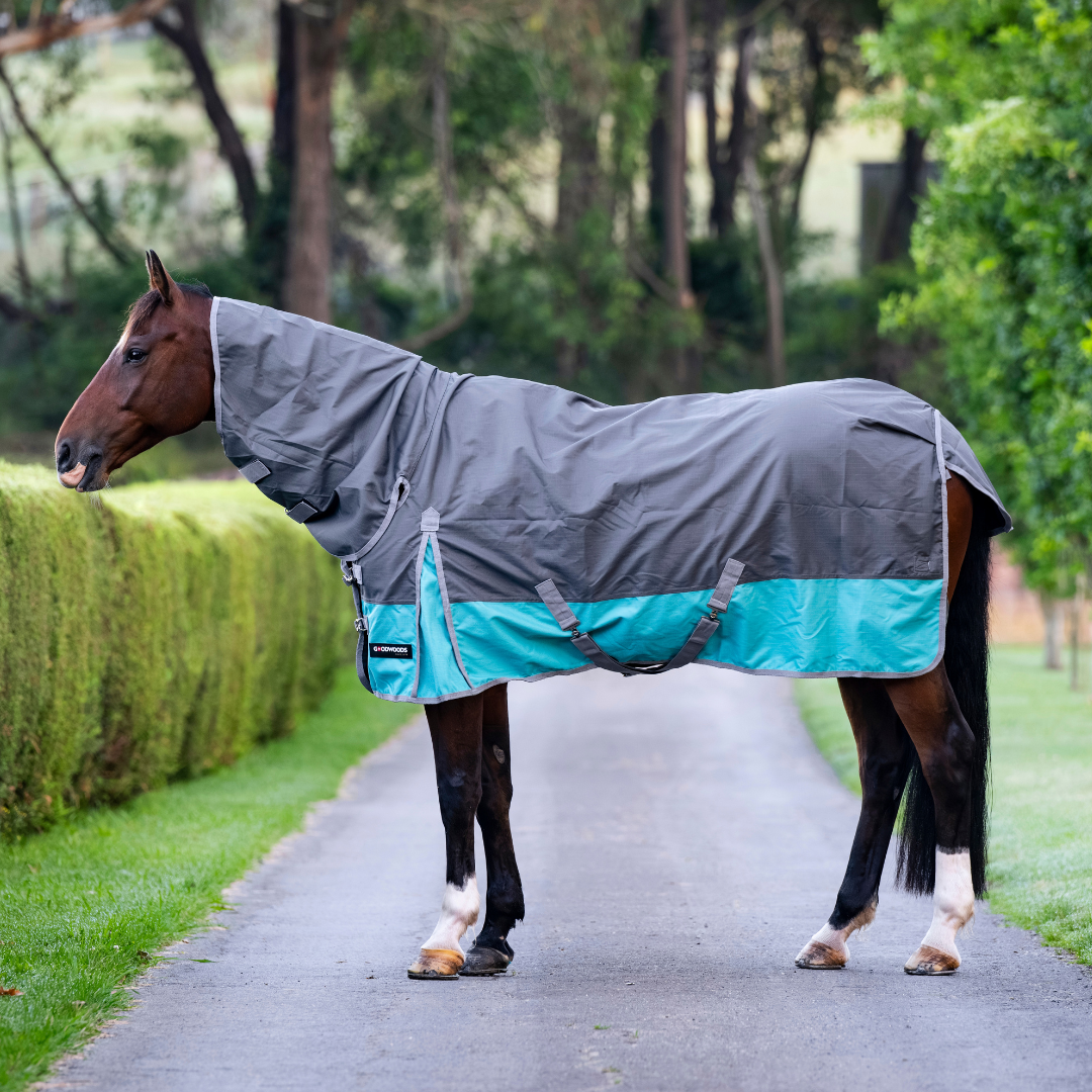 Grace 1200 Denier Combo No Fill - Turquoise and Grey