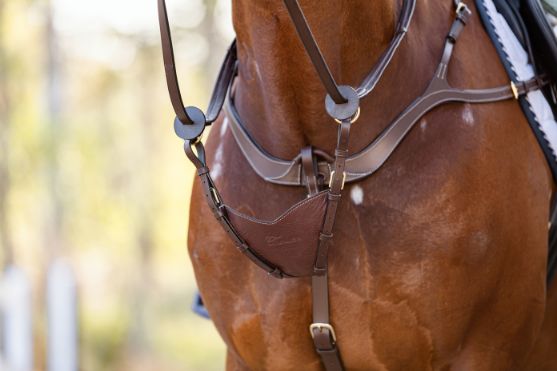 Cavalier Bib Breastplate Attachment