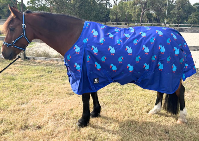 Daisy Duck Winter Synthetic Rug