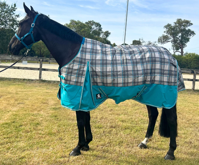 Jules Turquoise Winter Rug