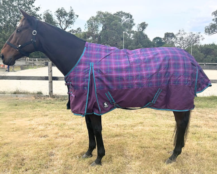 Denver Purple Check Rug