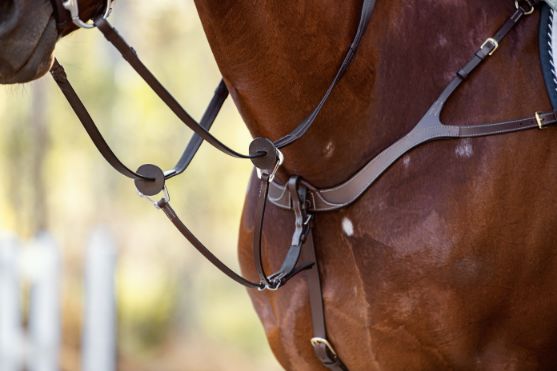 Cavalier Anatomic Breastplate - Brown - Cob