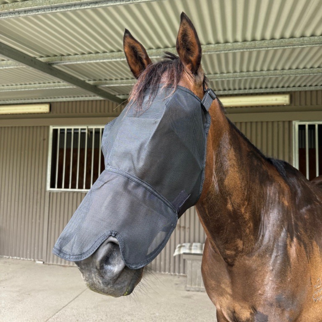 Eureka Everyday Fly Mask with Nose