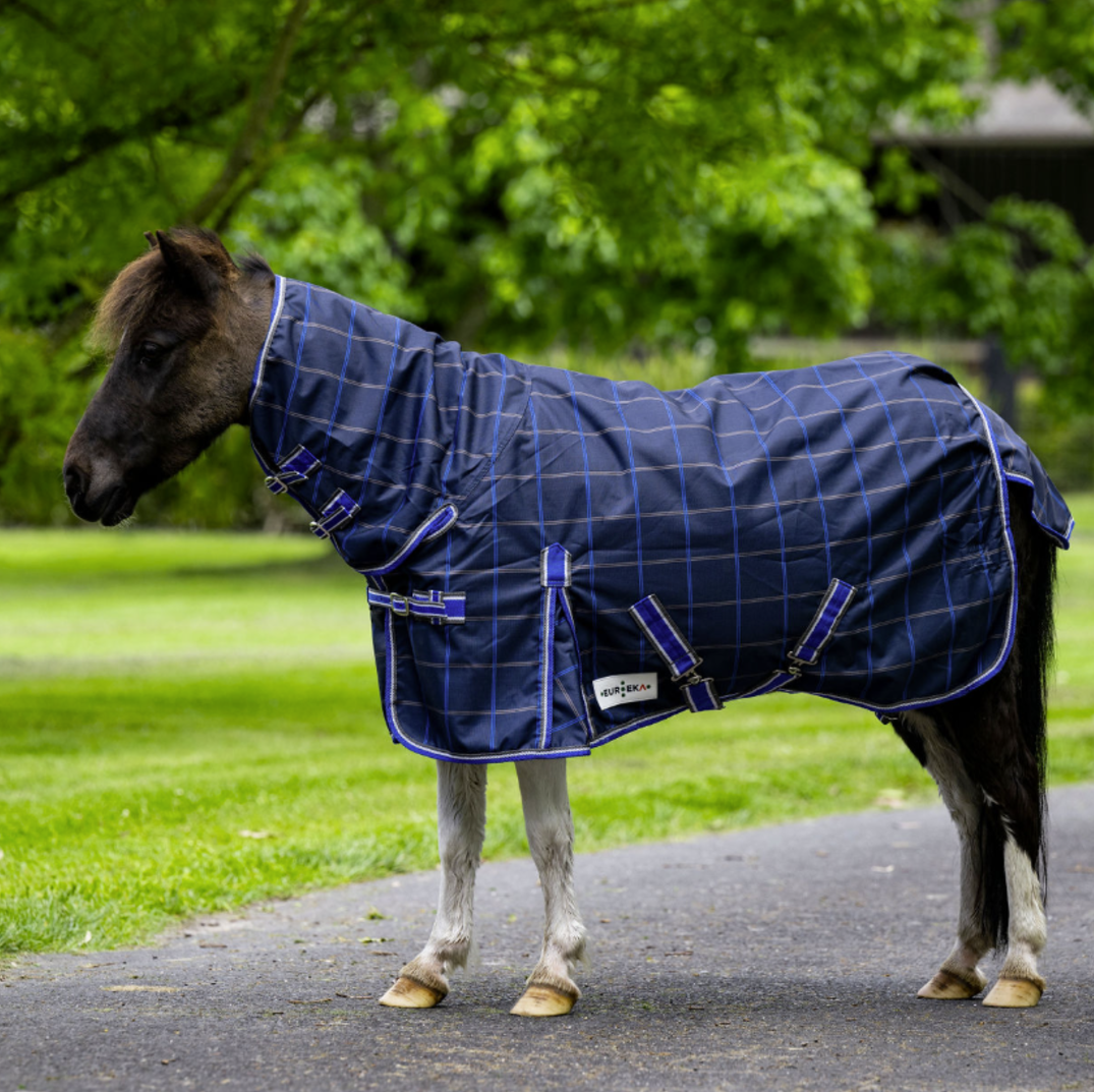 Eureka Miniature Synthetic Summer Combo Blue Check