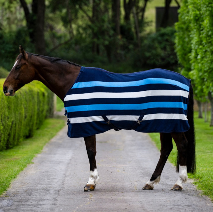 Eureka Polar Fleece Blue and White Stripe Combo
