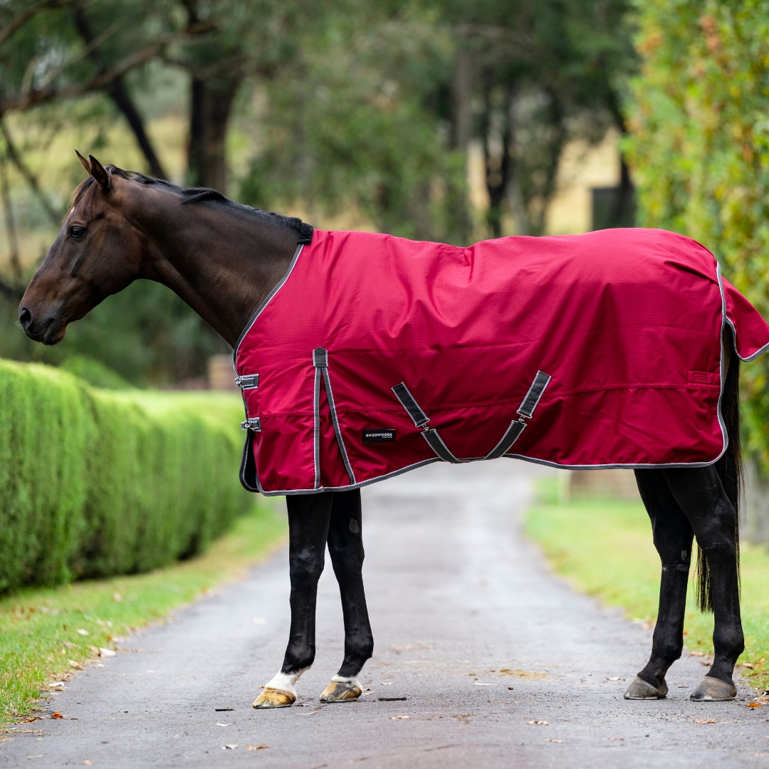 Oscar 1200D Medium Rug - 180g Fill