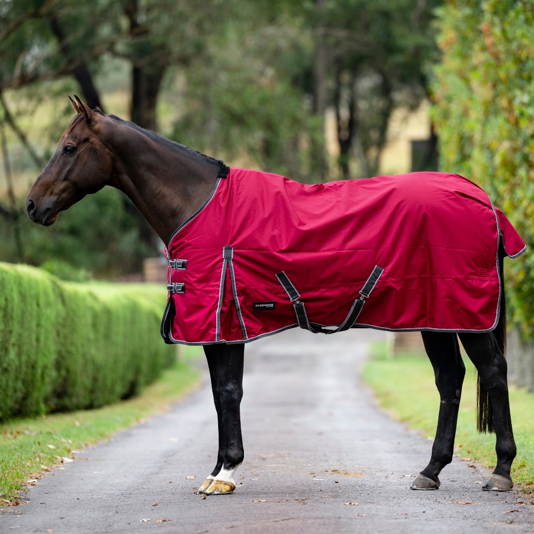 Oscar 600D Light Rug - 100g Fill