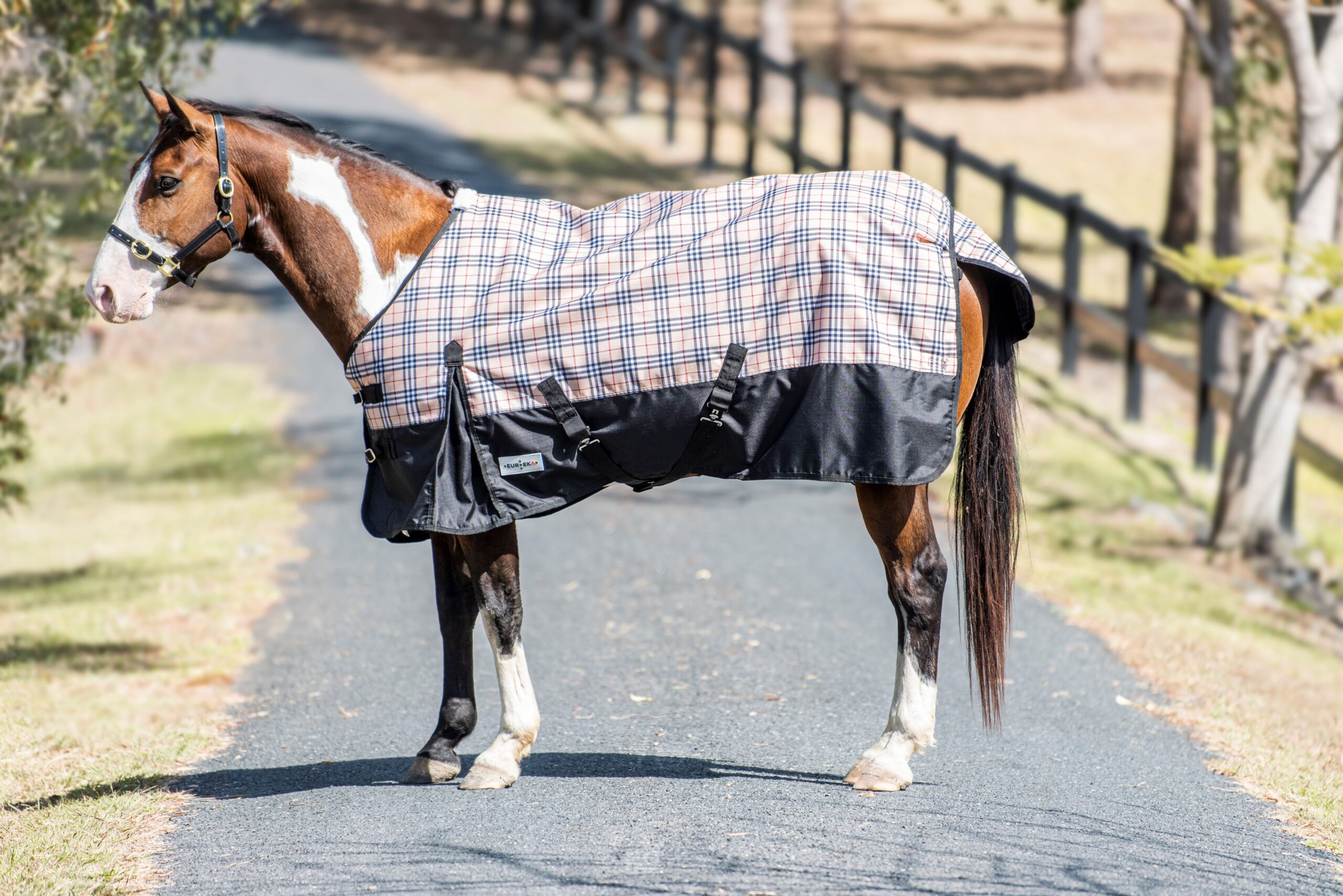 Eureka Classic Check Rug