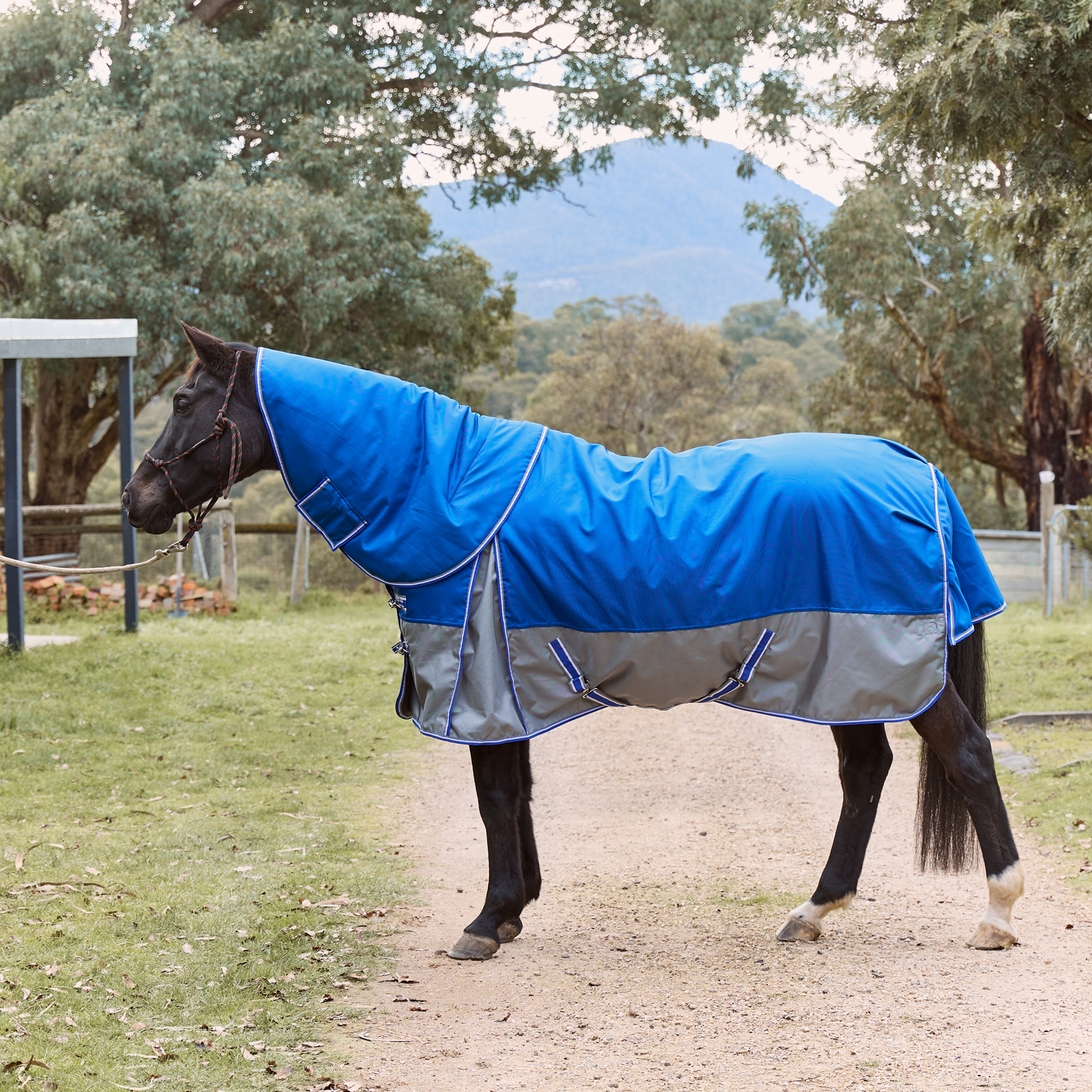 Eureka Bounty Heavy Detachable Neck