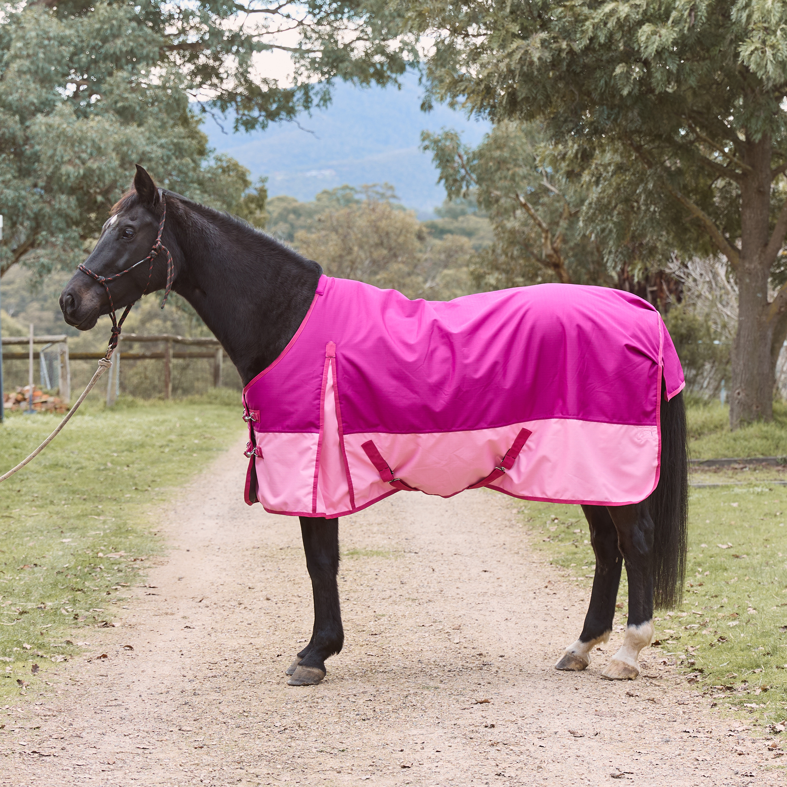 Eureka Bounty Medium Rug