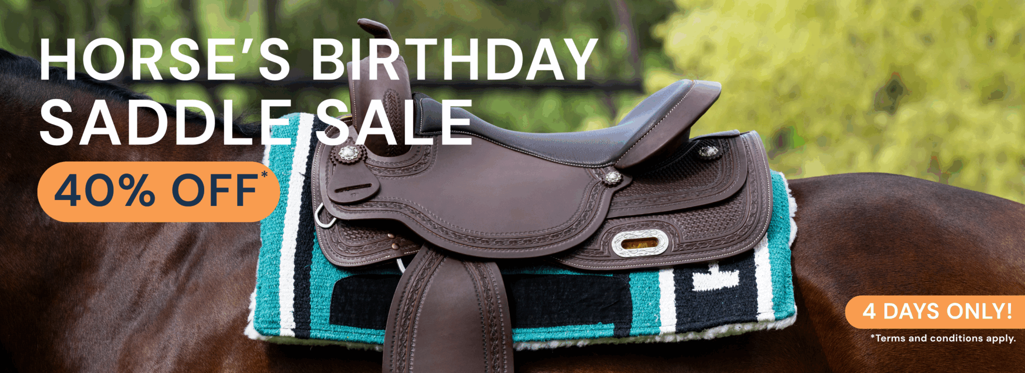 Horses Birthday